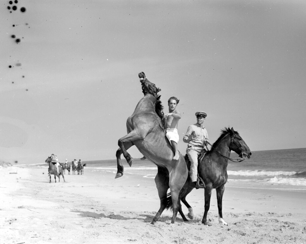 During World War II, Coast Guardsmen guarded the beach near the Southport light on horseback image