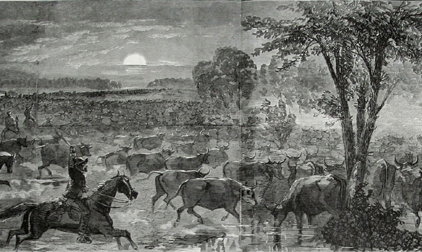 Wade Hampton’s Great Beefsteak Raid painting